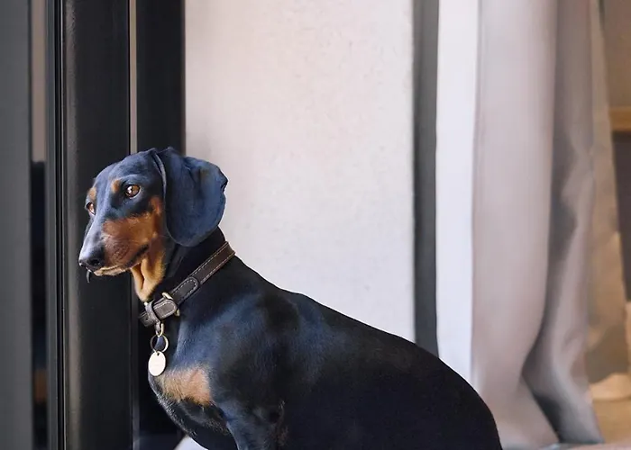 Belarosa - The Luxury Hideaway In The Swiss Alps